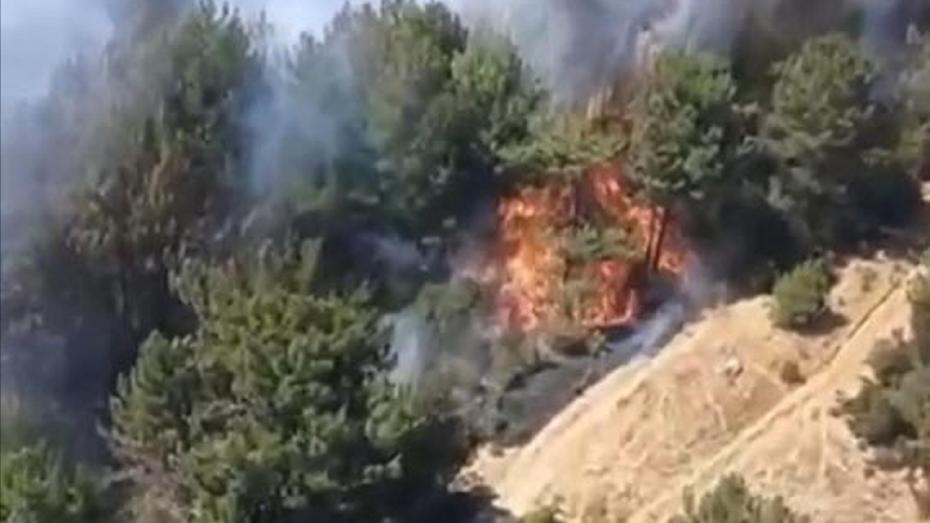 Balıkesir'deki Orman Yangını Güvenlik Altına Alındı