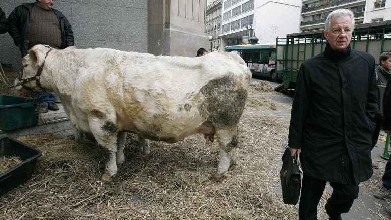 Fransa'da mavi dil virüsünün yeni çeşidi tespit edildi