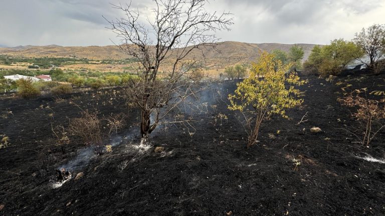 Elazığ'da çıkan yangında 150 dönüm tarım arazisi zarar gördü