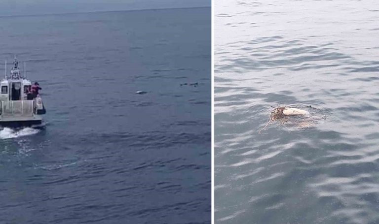 Trabzon havalimanı açıklarında denizde ceset bulundu – Son Dakika Türkiye Haberleri