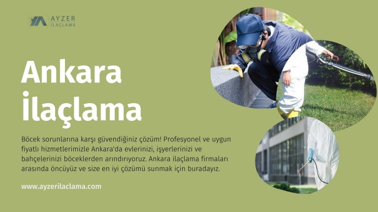 Ankara İlaçlama Firmaları: Böceklerle Savaşın, Huzurunuzu Geri Kazanın