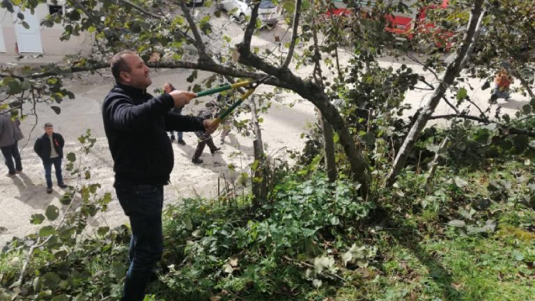 Espiye üreticilerine fındık budama eğitimi verildi