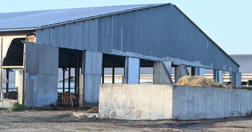 Macaristan’daki binlerce hayvan hastalık tarafından büyütüldü