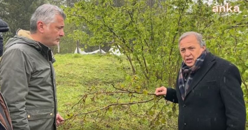 CHP Seyit Torun tarafından tarımsal donun cevabı: “TMO, fiyatların fiyatlarıyla üreticiyi daha da zorlaştırıyor” – Siyasi Haberleri Kırın