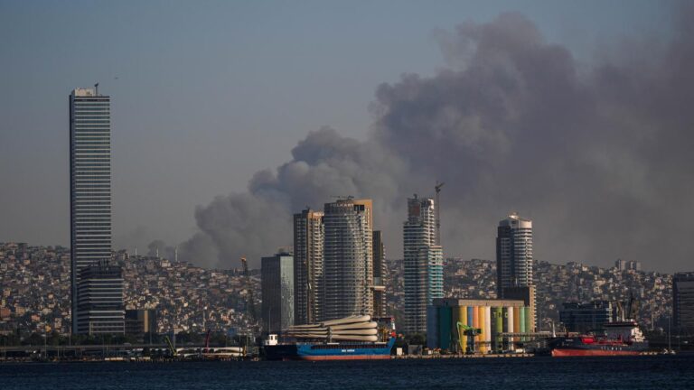 İzmir Buca’da orman yangını – Son Dakika Haberleri
