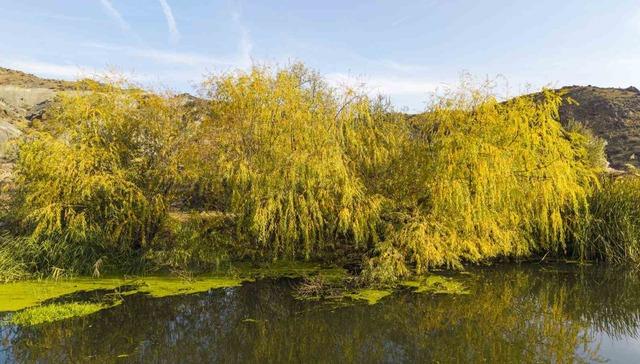 Kırıkkale'de sonbahar güzelliği 8